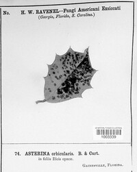 Image Associated With the Occurence